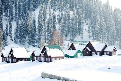 Houses and trees on snow covered landscape