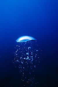 A bubble from a diver, channel islands national park, california.