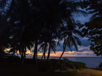 Silhouette palm trees on beach against sky during sunset