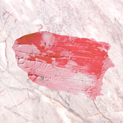 High angle view of red leaf on rock