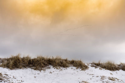 Scenic view of snow field against sky