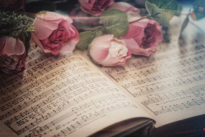 High angle view of roses on table