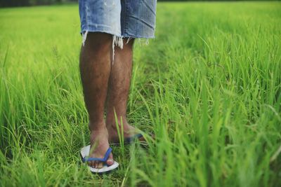 Low section of man standing on grassy field