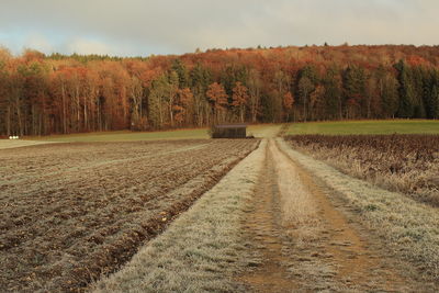 Scenic view of field against sky