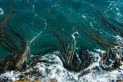 Full frame shot of rippled water