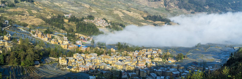 High angle view of trees on land