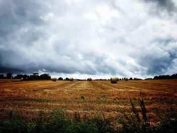 Scenic view of field against sky