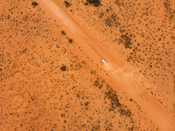 High angle view of trees on desert