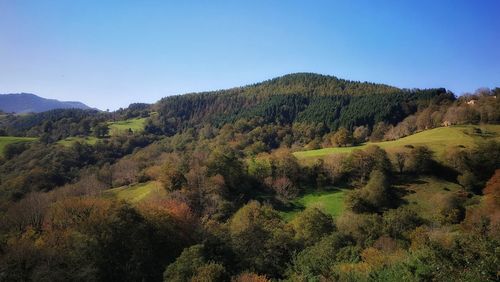 Scenic view of landscape against clear sky