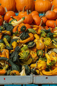 High angle view of pumpkins for sale at market stall