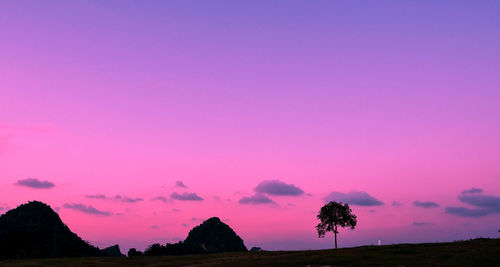 Silhouette trees on field against sky at sunset