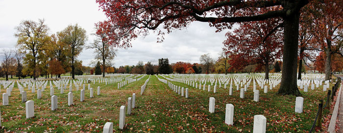 View of cemetery against sky