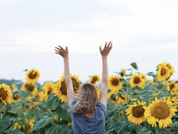 Rear view of sunflower on field against sky