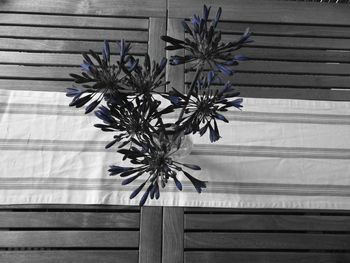 Close-up of flower vase on table against wall