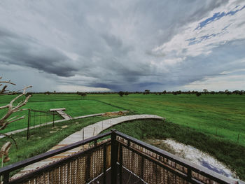 Scenic view of agricultural field against sky