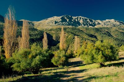 Scenic view of mountains against clear sky