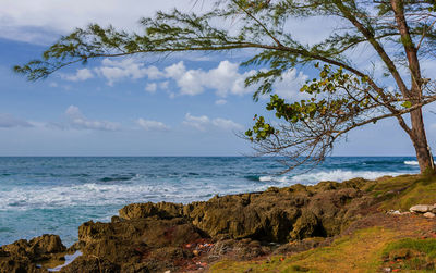 Scenic view of sea against sky