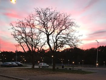 Trees in city against sky at sunset