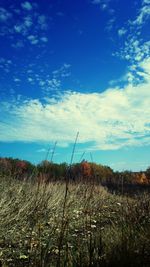 Scenic view of field against cloudy sky