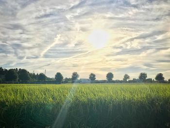 Scenic view of field against sky