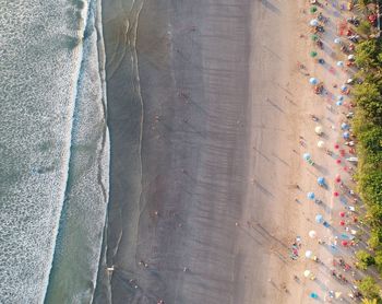 Aerial view of beach