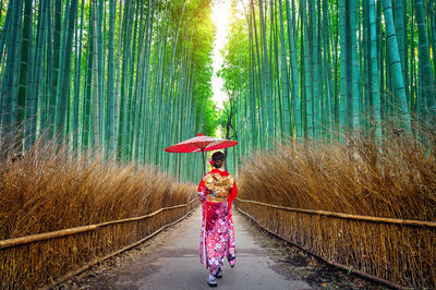 Rear view of woman with umbrella walking amidst bamboo groves