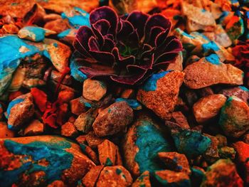 Full frame shot of rocks on field