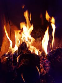 Close-up of bonfire at night