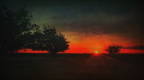 Silhouette trees on field against sky during sunset