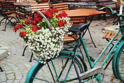View of bicycle and plants