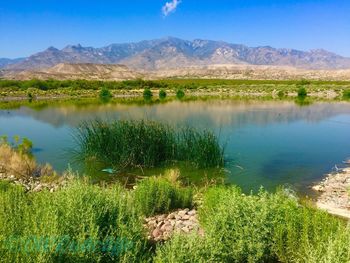 Scenic view of lake and mountains