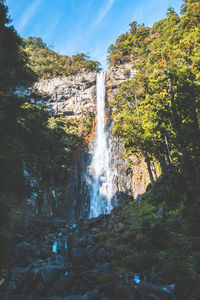 Waterfall in forest