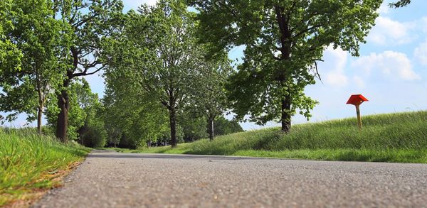 Road amidst trees against sky