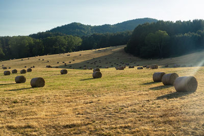 Hay bales on field against sky