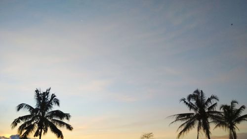 Silhouette palm trees against sky during sunset