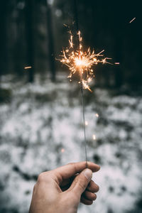 Person hand holding firework display