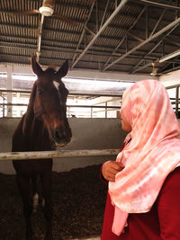 Side view of woman looking at horse in stable