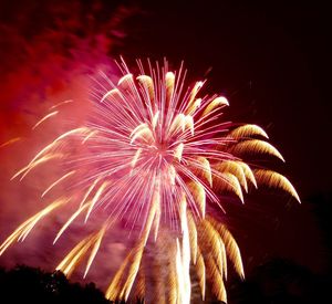 Low angle view of firework display at night