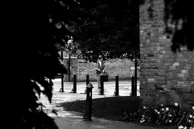 High angle view of men on tree