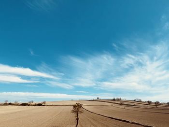 Scenic view of road against sky