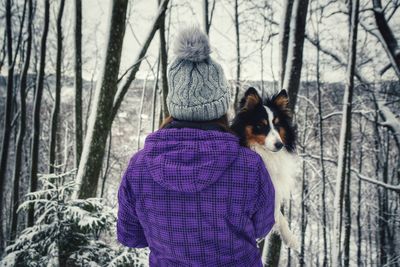 View of a dog in the forest