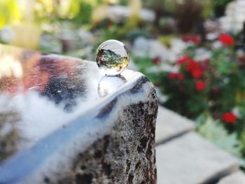Close-up of water ball on stone