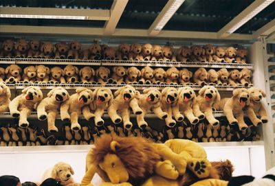 High angle view of stuffed toy at store