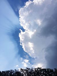 Low angle view of trees against cloudy sky