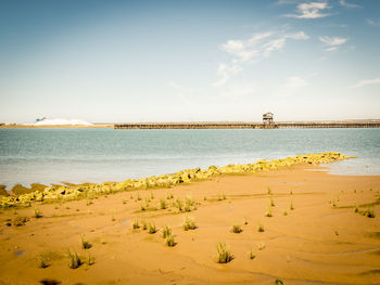 Scenic view of beach against sky