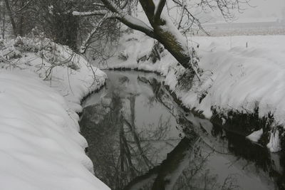 Close-up of snow covered landscape