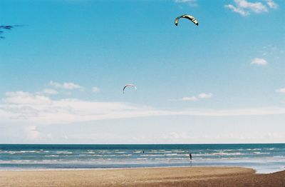 People paragliding over sea