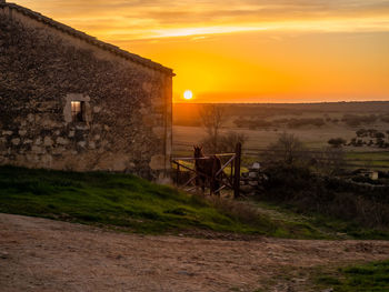 Scenic view of field against sky during sunset