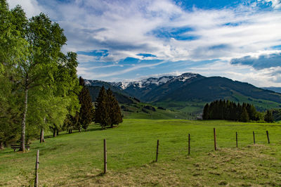 Scenic view of trees on field against sky