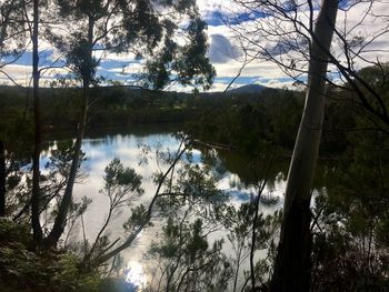 Scenic view of lake by trees against sky